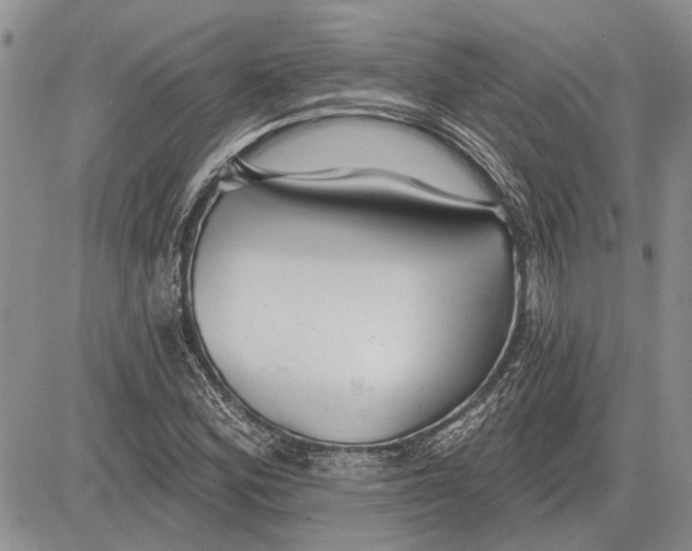 X0000081581164200702051232