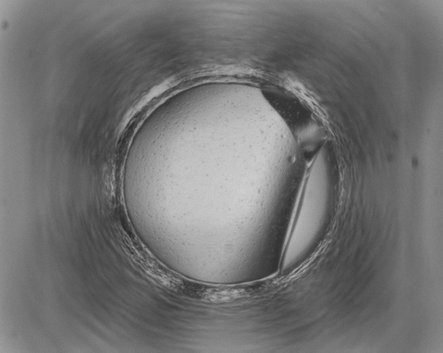 X0000081581165200702051232