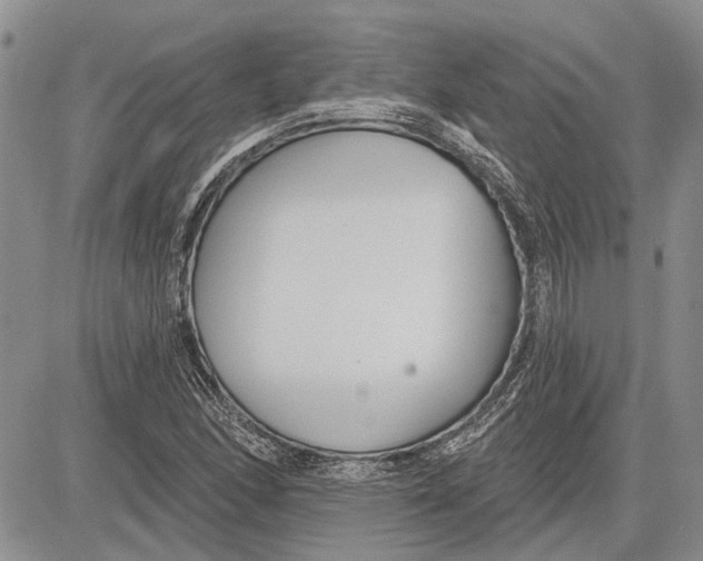 X0000081581166200702051232