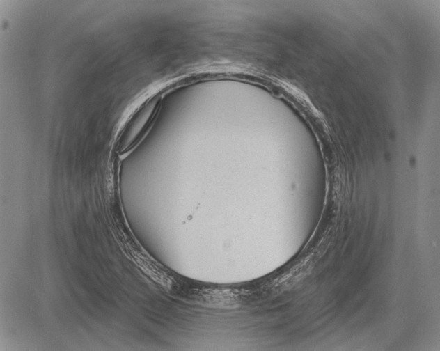 X0000081581167200702051232