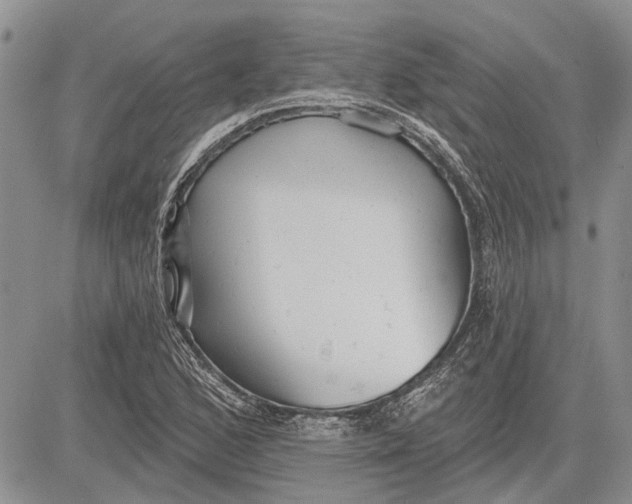 X0000081581168200702051232