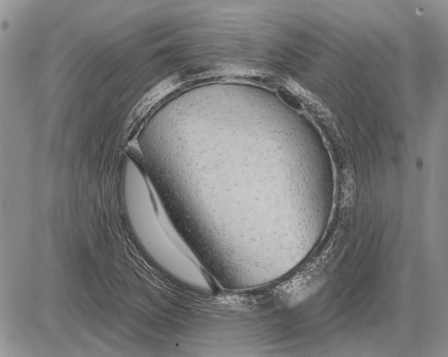 X0000081581169200702051232