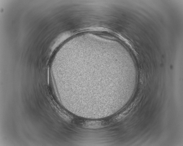 X0000081581171200702051232