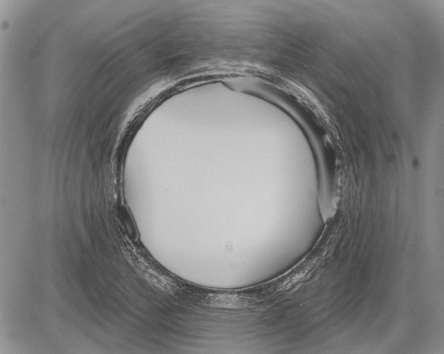 X0000081581172200702051232