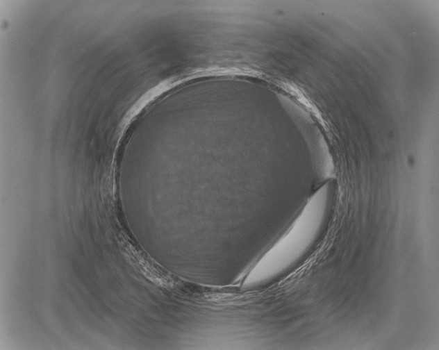 X0000081581173200702051232