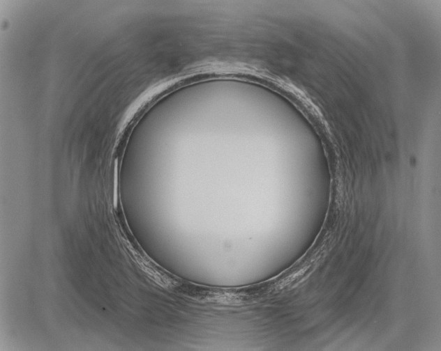 X0000081581175200702051232