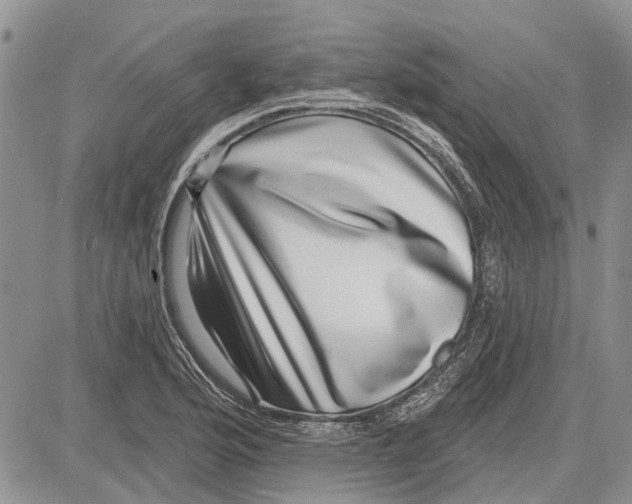 X0000081581176200702051232