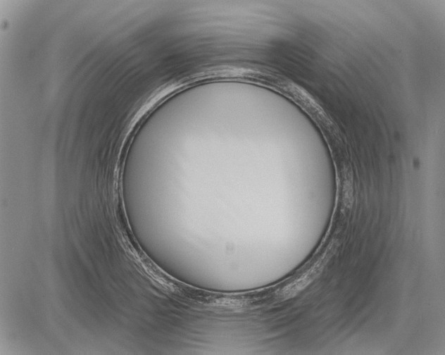 X0000081581178200702051232