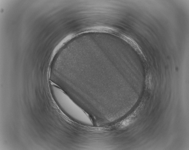 X0000081581180200702051231