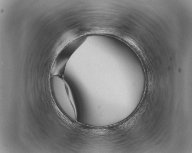 X0000081581181200702051231