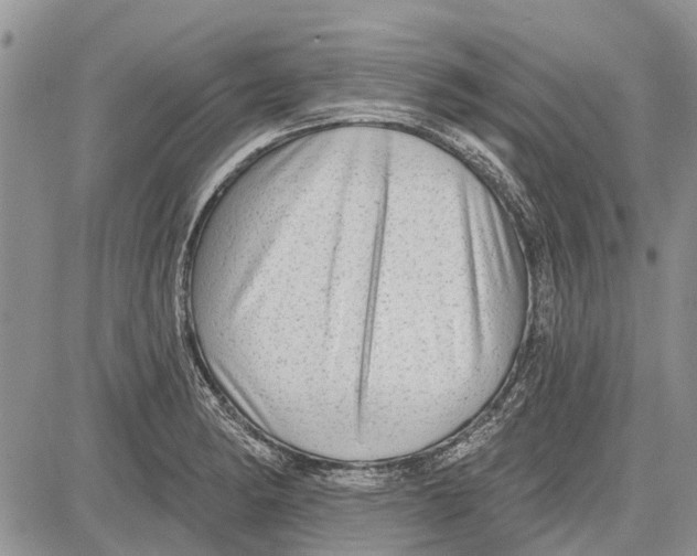 X0000081581182200702051231