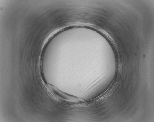 X0000081581183200702051231