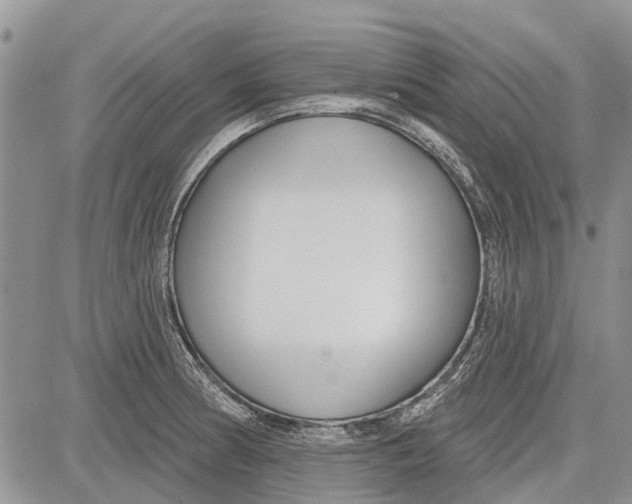 X0000081581186200702051231