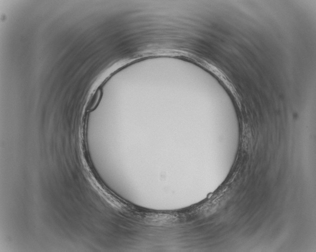 X0000081581187200702051231