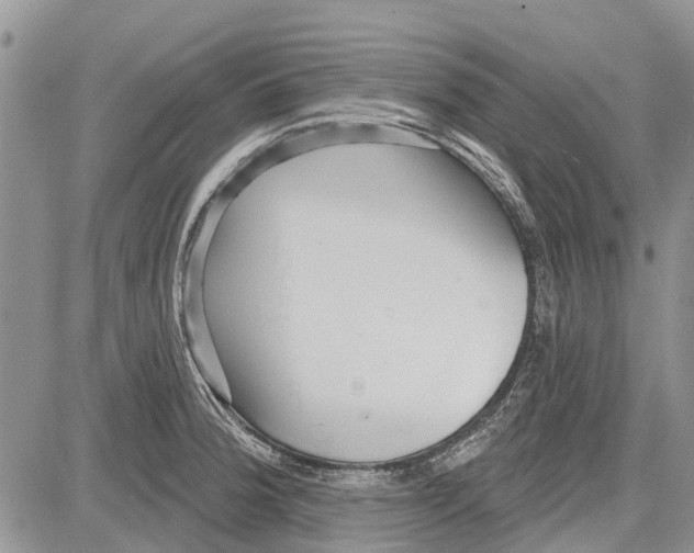 X0000081581188200702051231