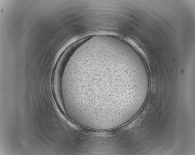 X0000081581189200702051231