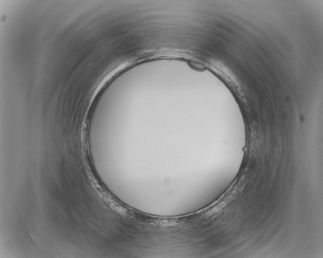 X0000081581190200702051231