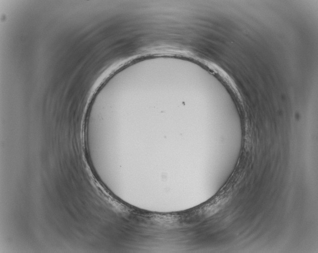 X0000081581191200702051231