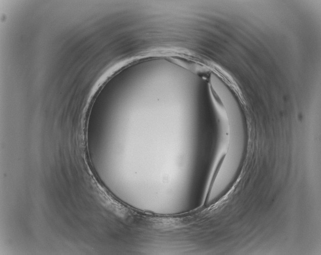 X0000081581192200702051231