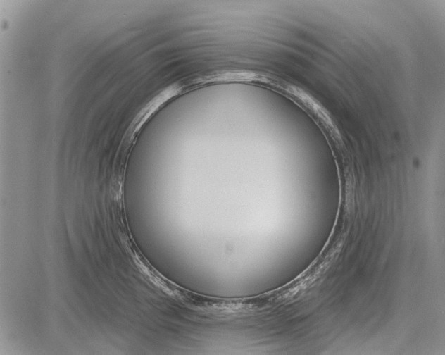 X0000081581193200702051231