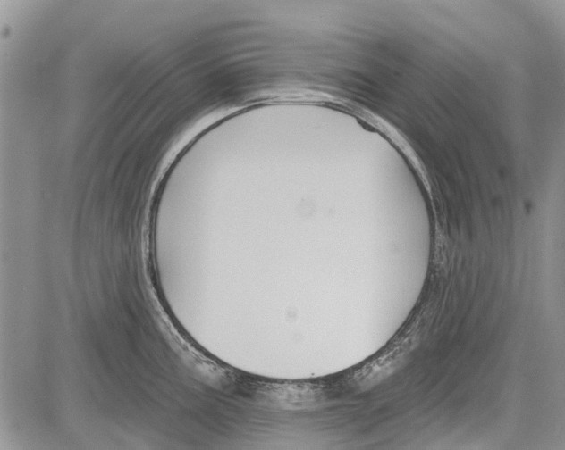 X0000081581195200702051231