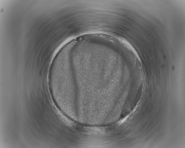 X0000081581197200702051231