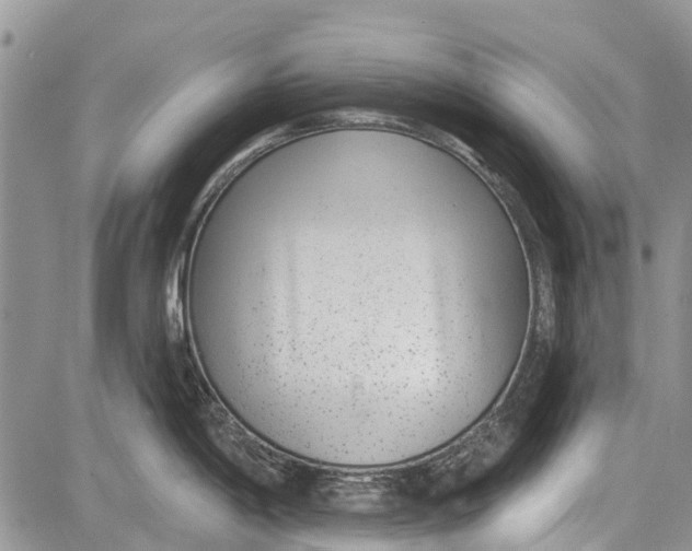 X0000081581198200702051231