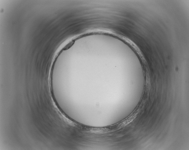 X0000081581199200702051231