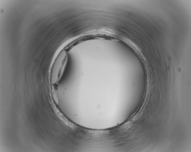 X0000081581200200702051231