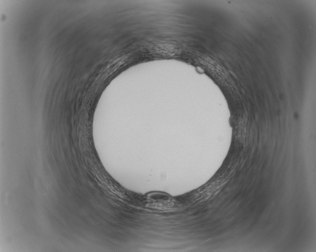 X0000081581201200702051230