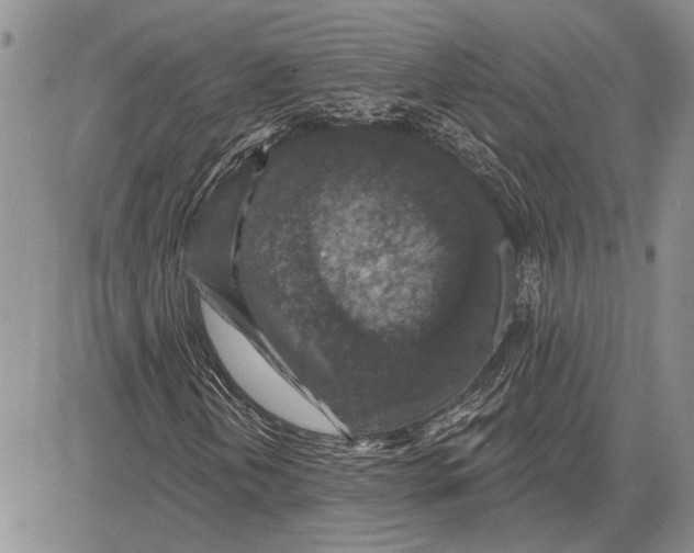 X0000081581202200702051230