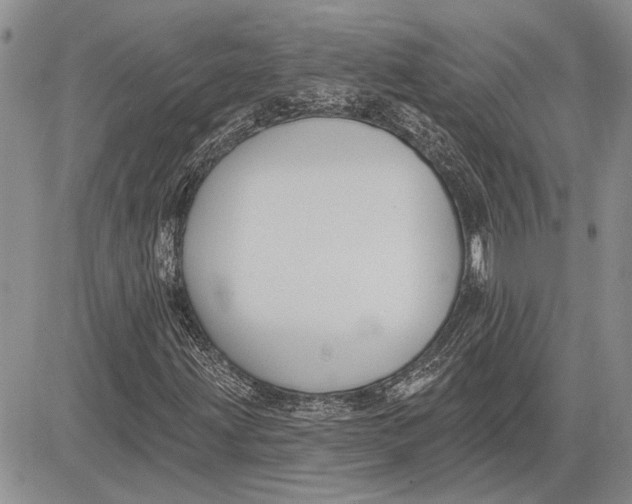 X0000081581203200702051230