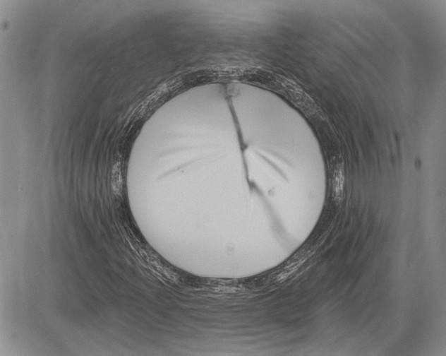 X0000081581204200702051230