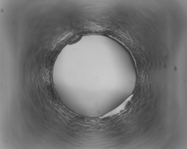 X0000081581205200702051230