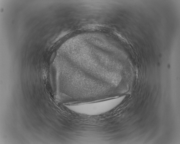 X0000081581206200702051230