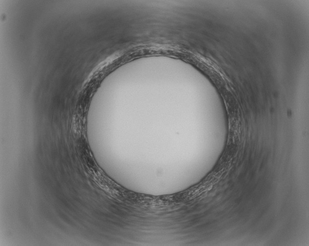 X0000081581207200702051230