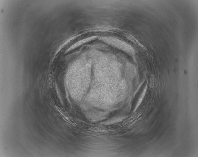 X0000081581208200702051231