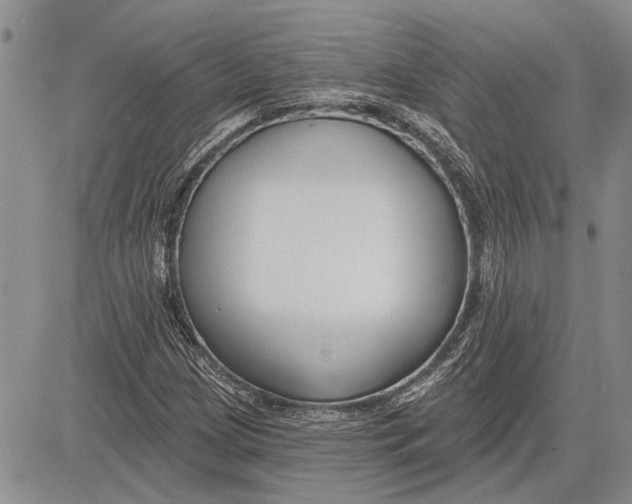 X0000081581209200702051231