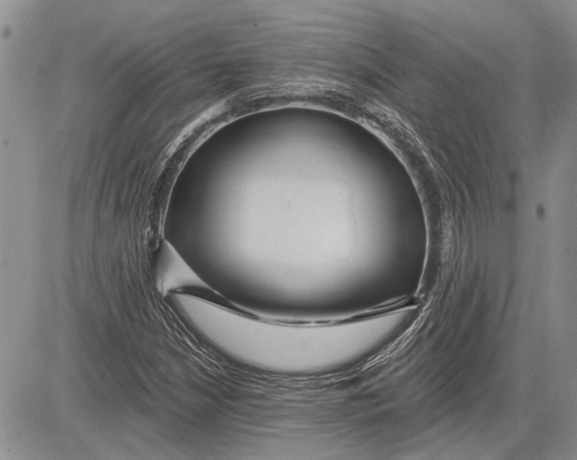 X0000081581210200702051231