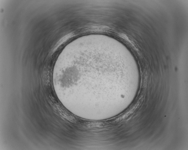 X0000081581211200702051231