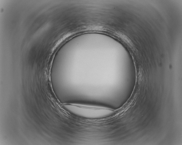 X0000081581212200702051231