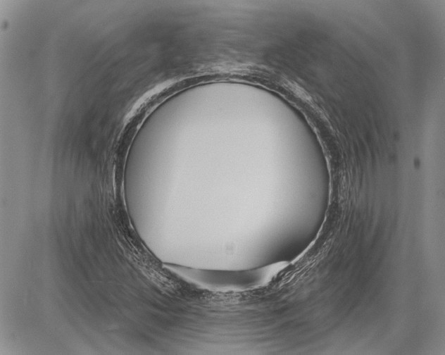 X0000081581214200702051231