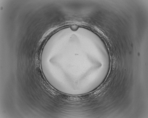 X0000081581215200702051231