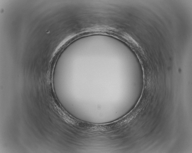 X0000081581216200702051231