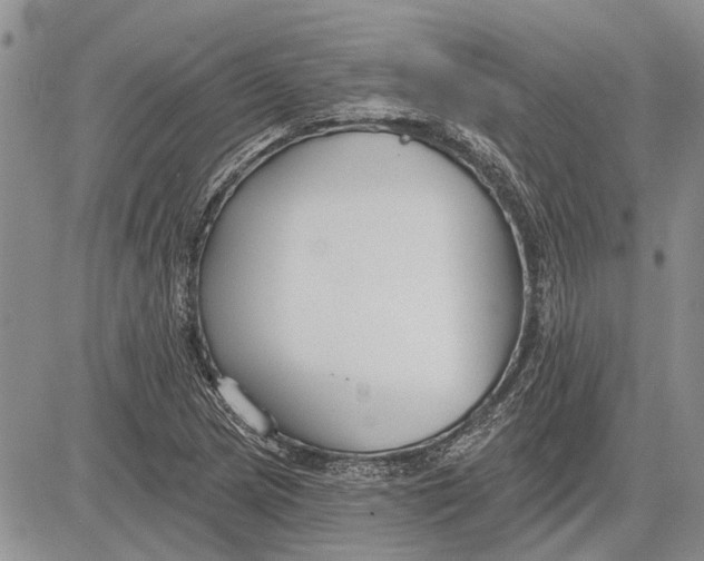 X0000081581217200702051231