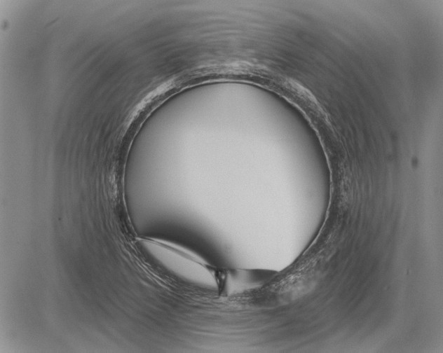 X0000081581218200702051231