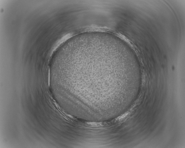 X0000081581219200702051231