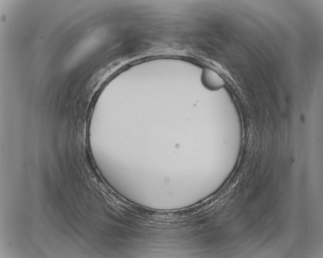 X0000081581220200702051231