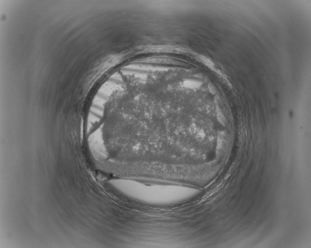 X0000081581221200702051231