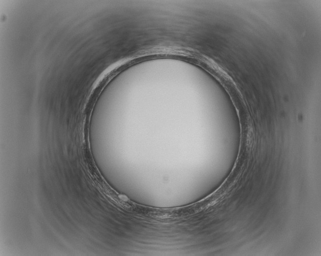 X0000081581222200702051231